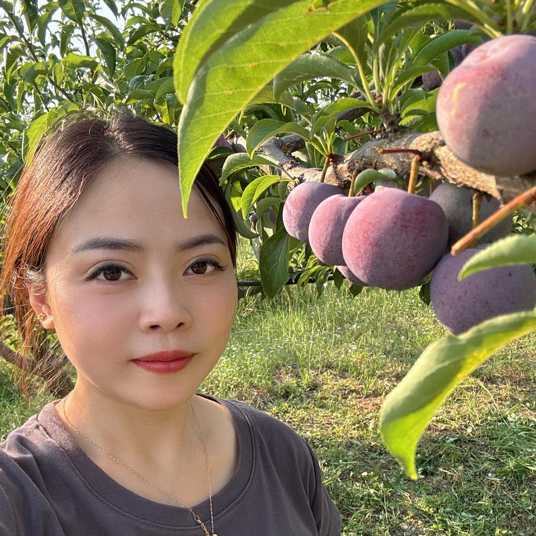 （张家湾的小龙女）