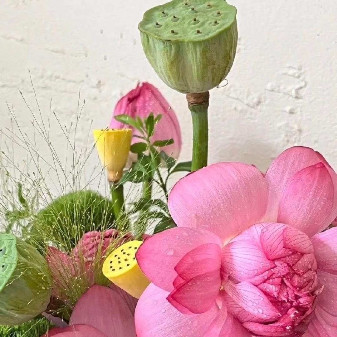 升学规划～随机版