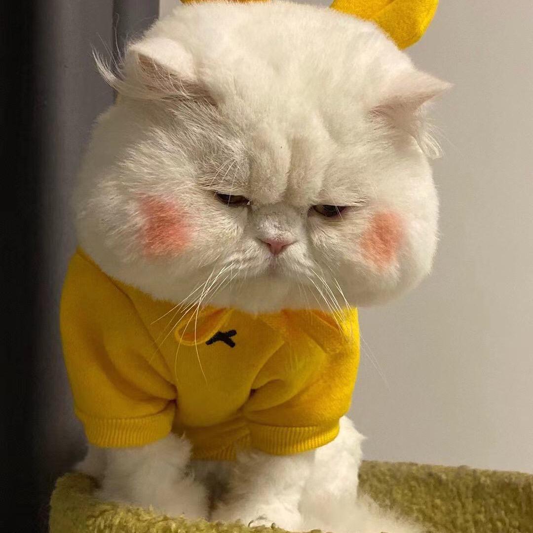 爱玲