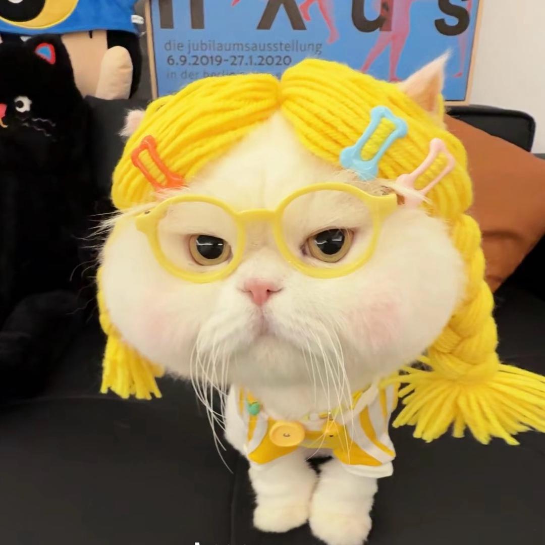 啊秋咪