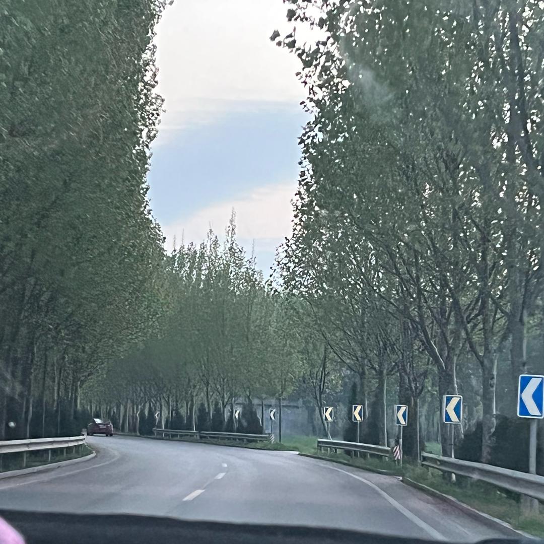 佛公子