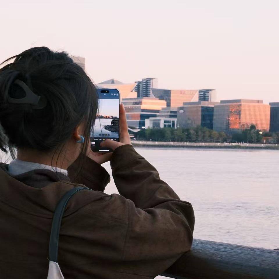 槲寄生