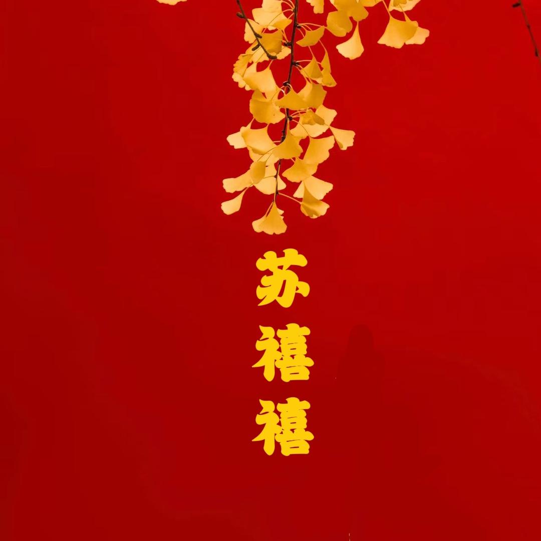 yaoyao01010101
