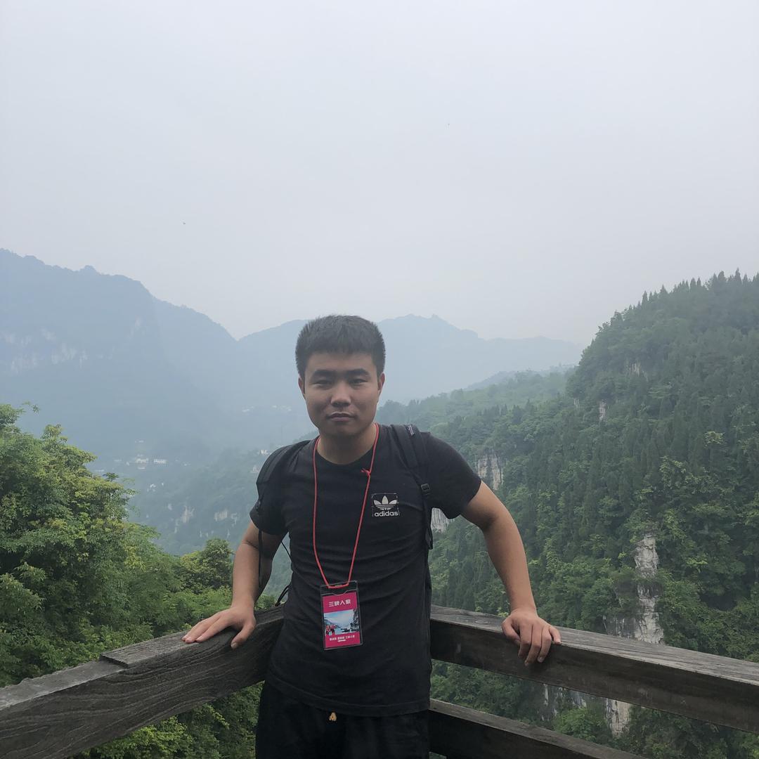 一只平凡的小猪