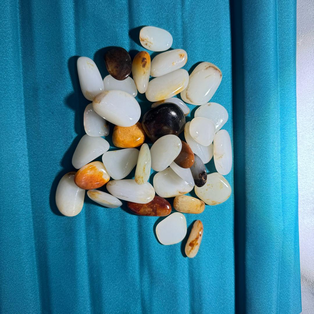 石公籽