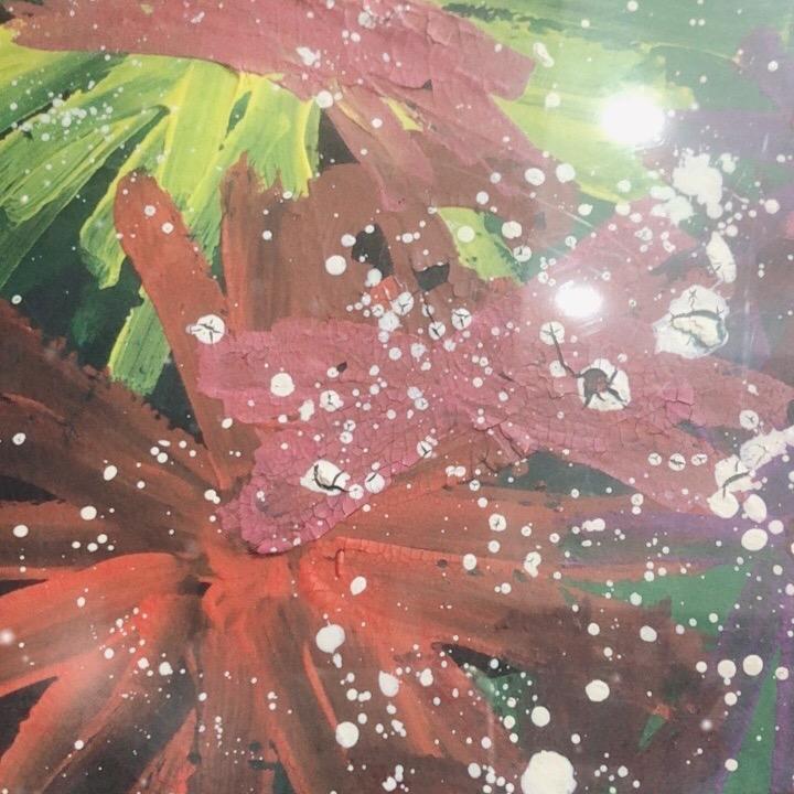 朵朵的品质生活馆