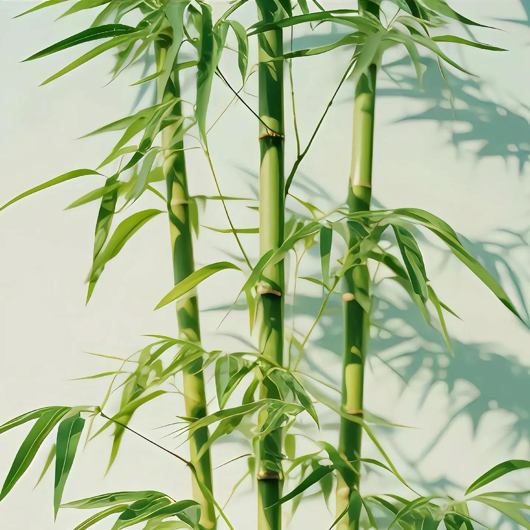 草堂