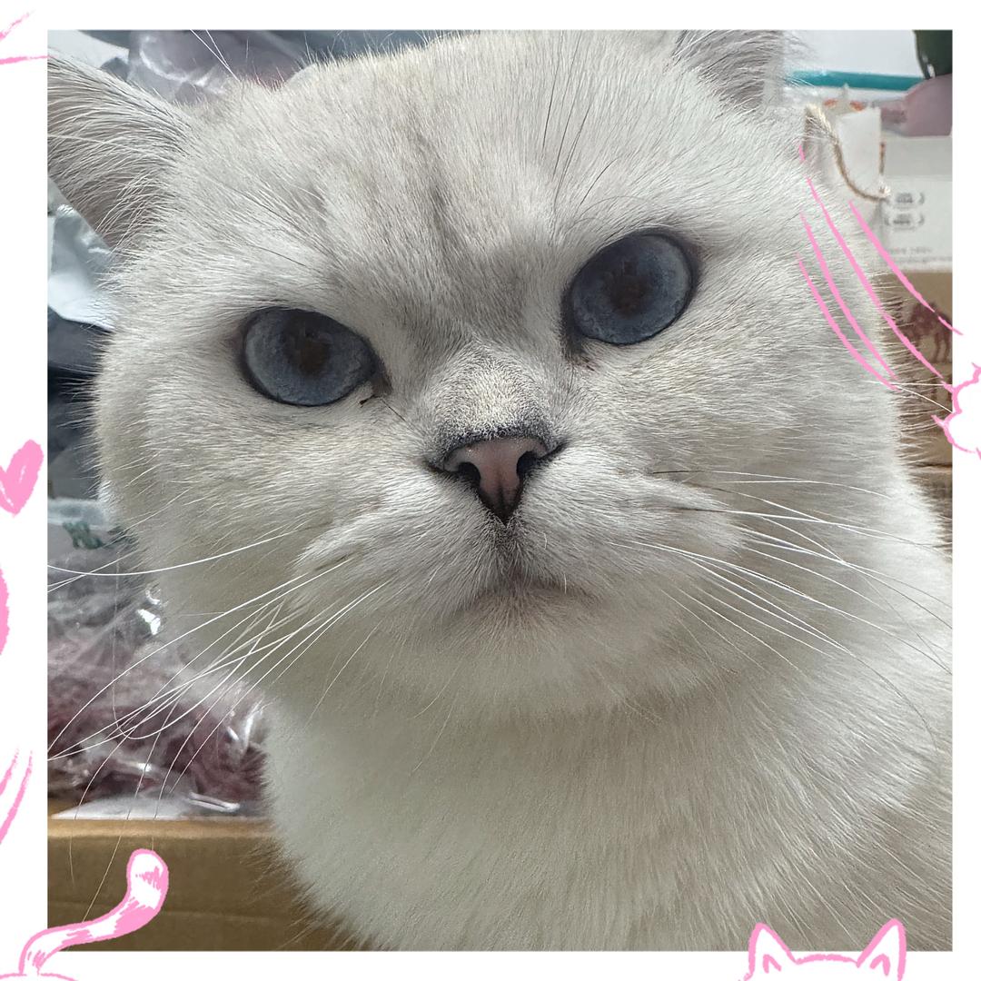冰糖葫芦玩儿