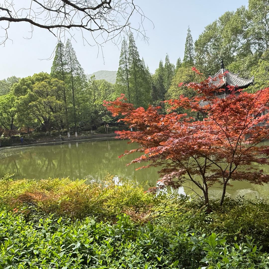 节能好帮手