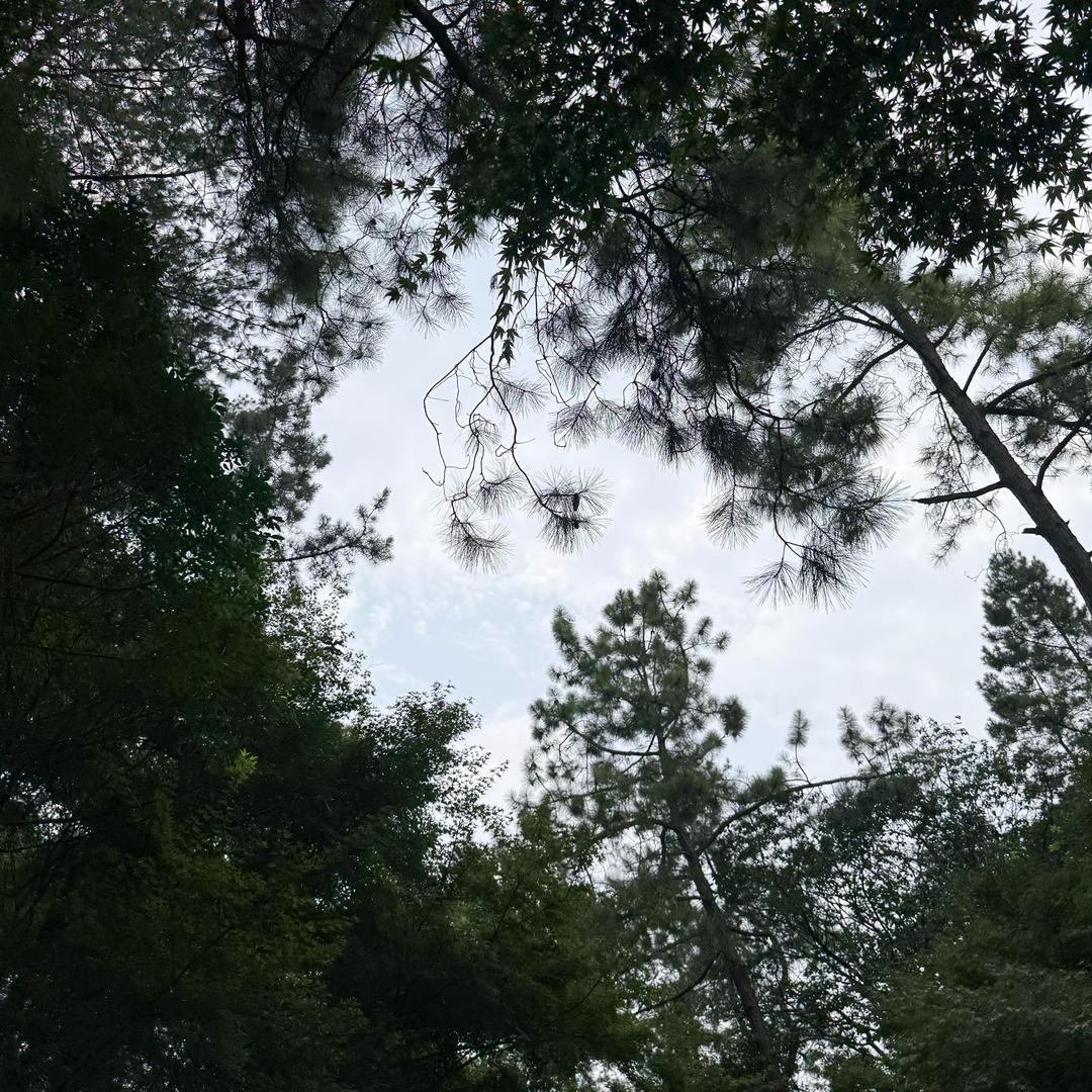 牛牛🐮🐮🐮