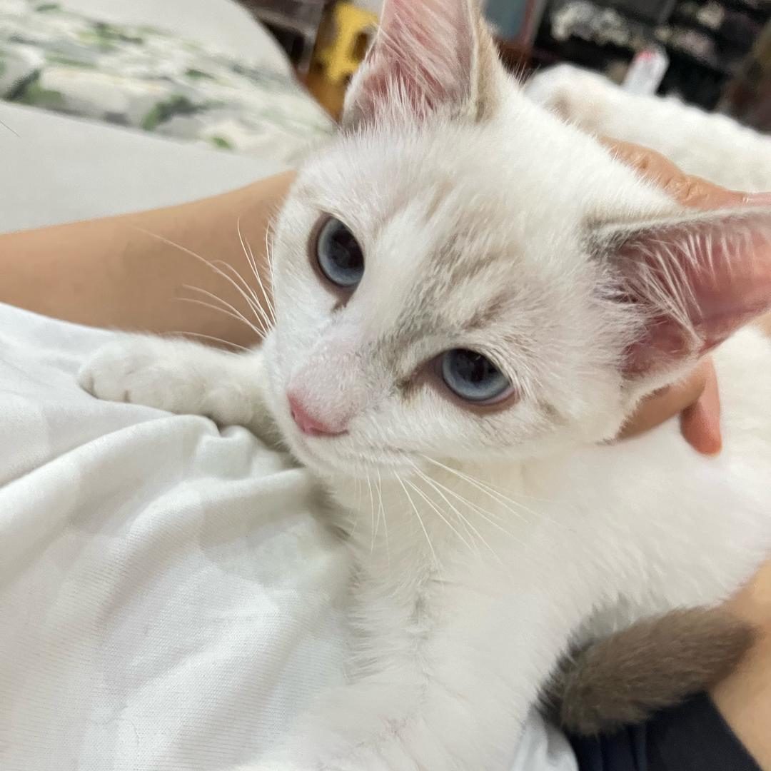 肥朵吃饭香ˁ῁̬ˀ