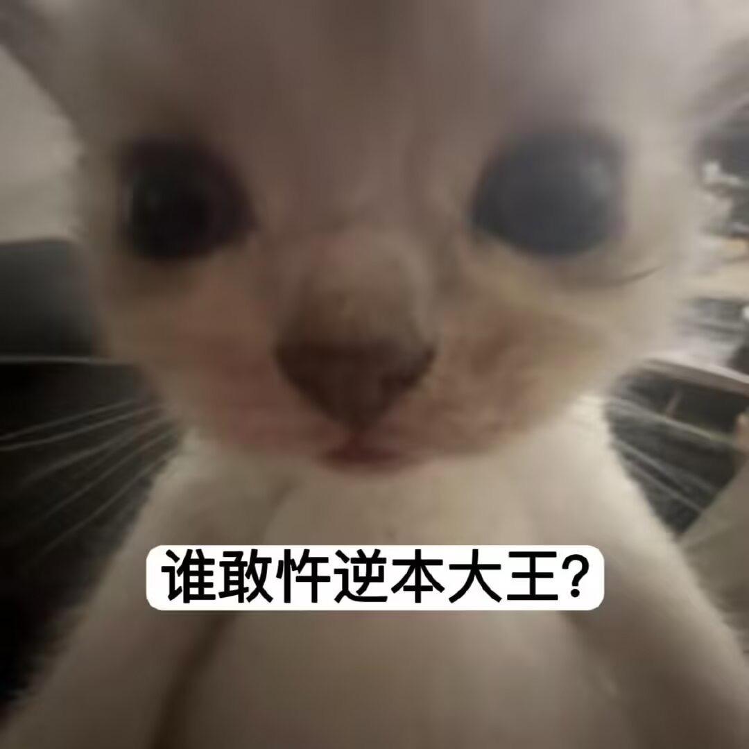 不归点