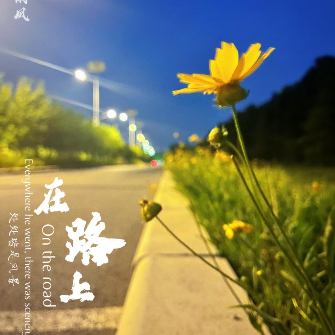 七月的風
