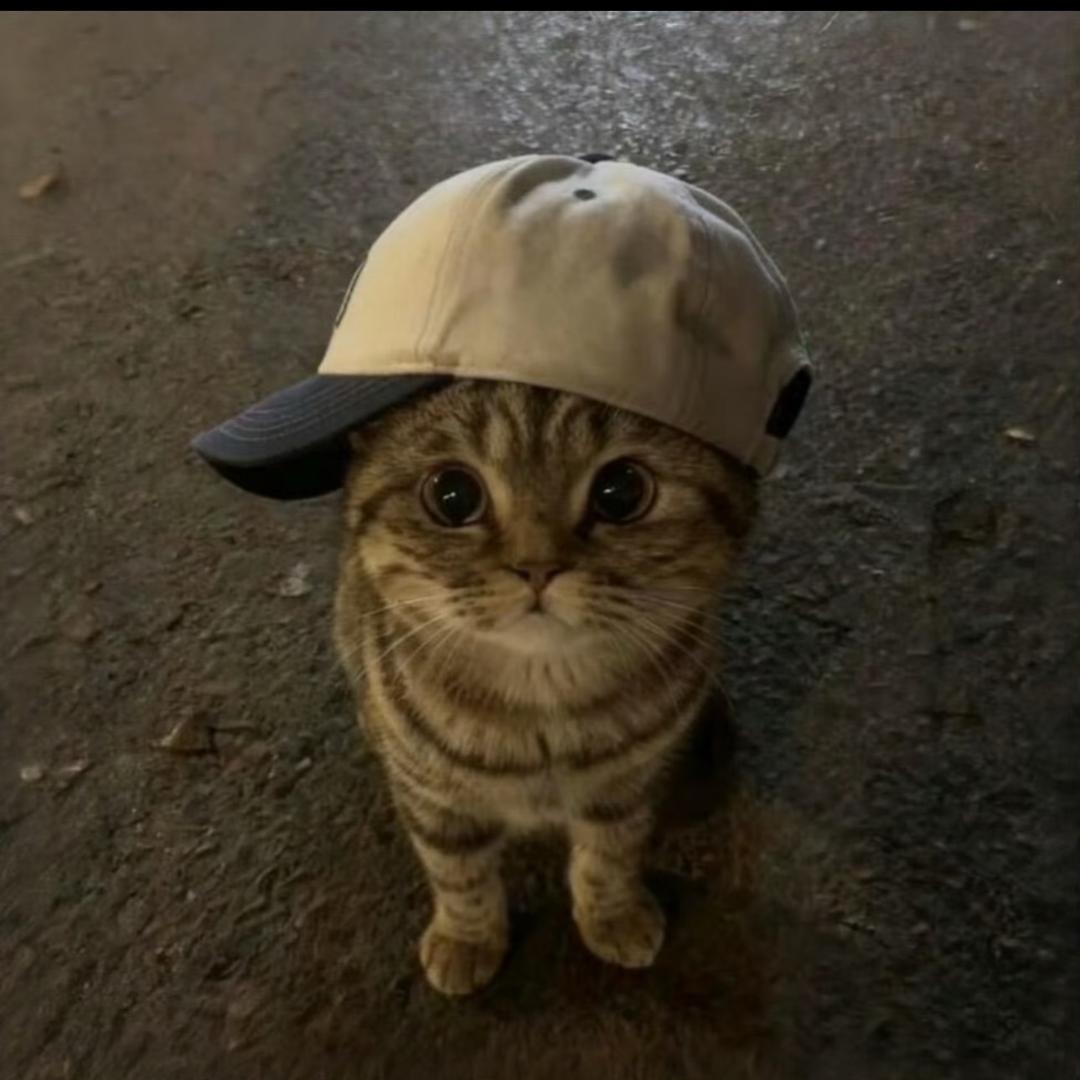 Doxixi
