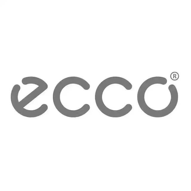 小董ecco