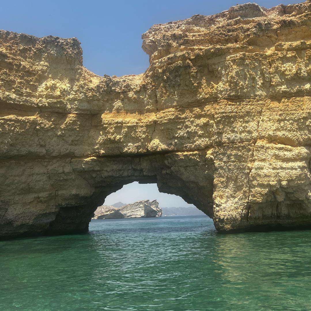 心有獨鍾_204760792