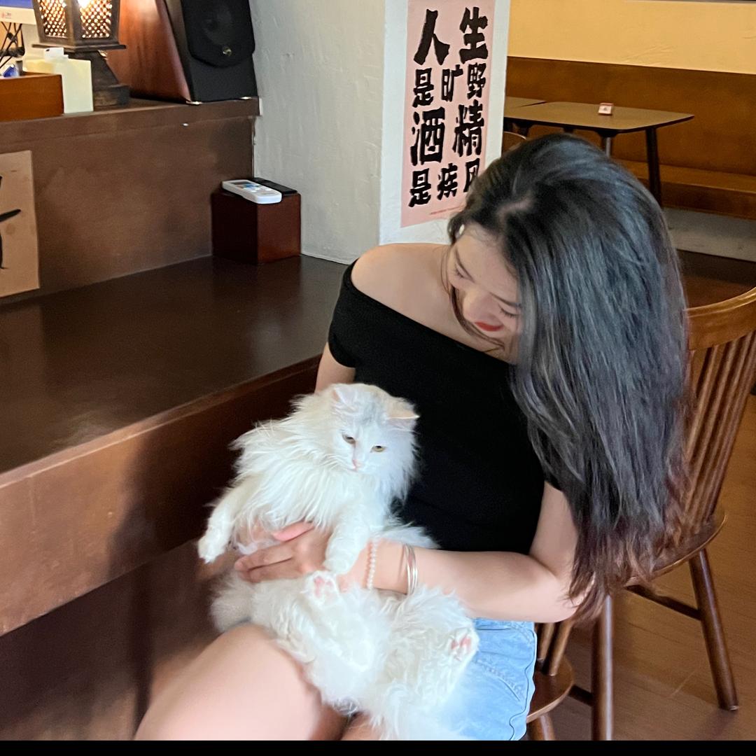 张张