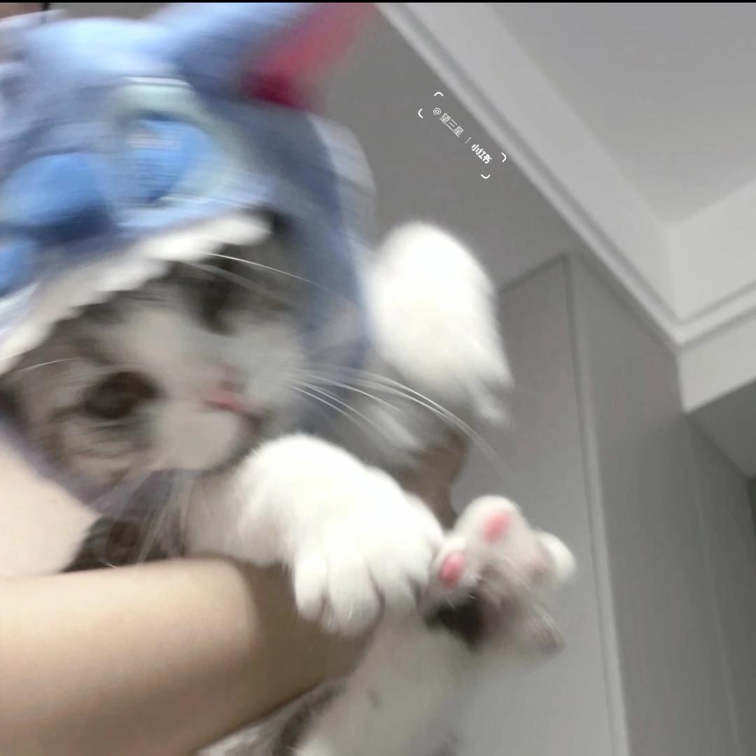 罗森