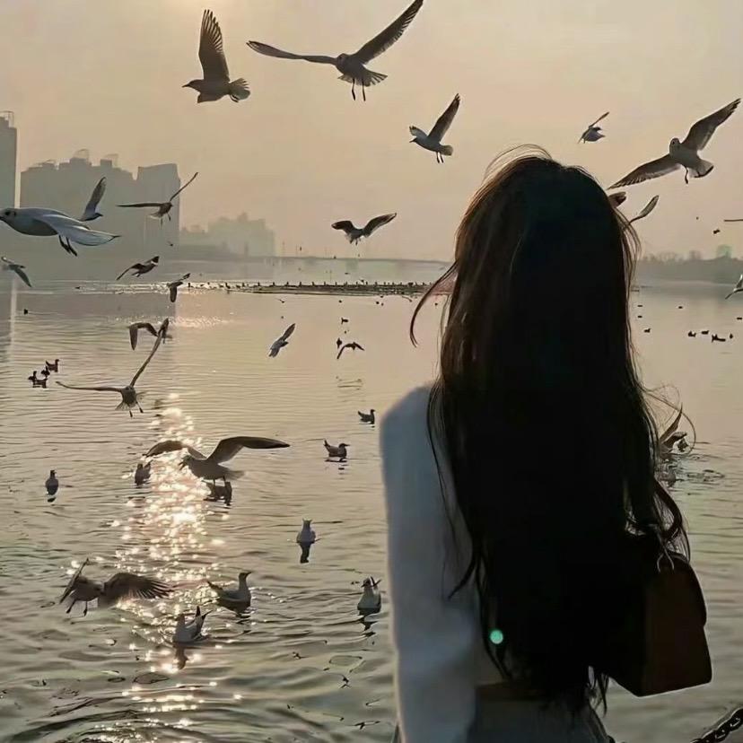 女王吖🐬🐬
