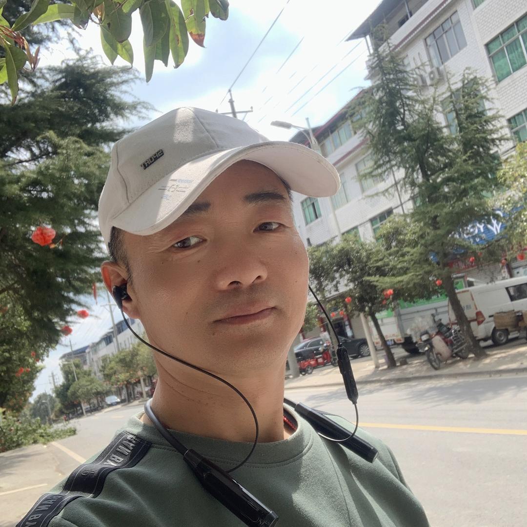 （网约车)人生旅途的游客