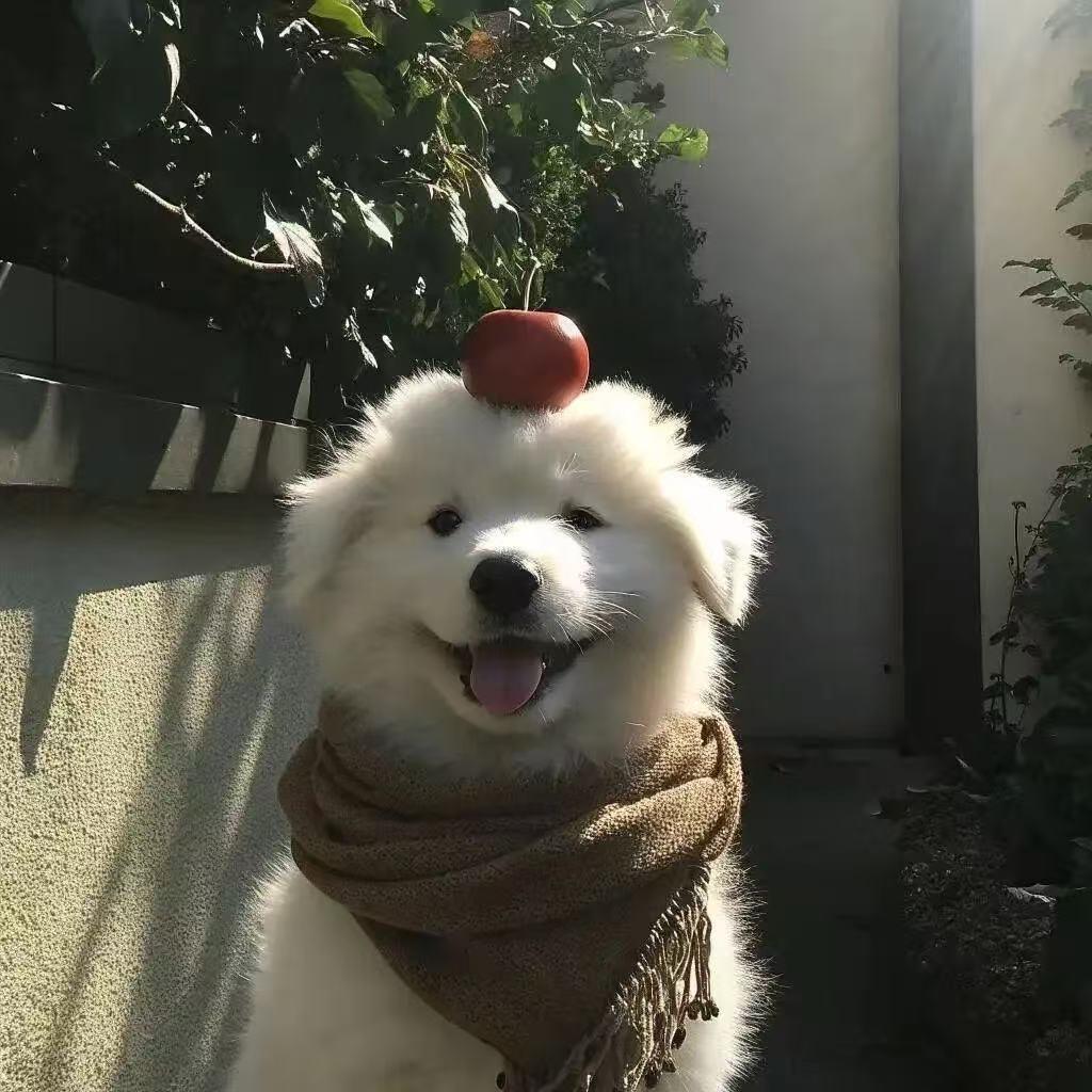 伍岚正￴￴ ￴￴ ￴￴￴ ￴