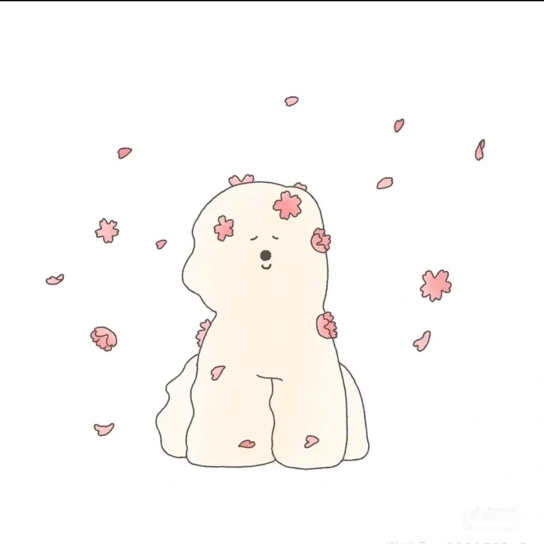 可露丽🧸