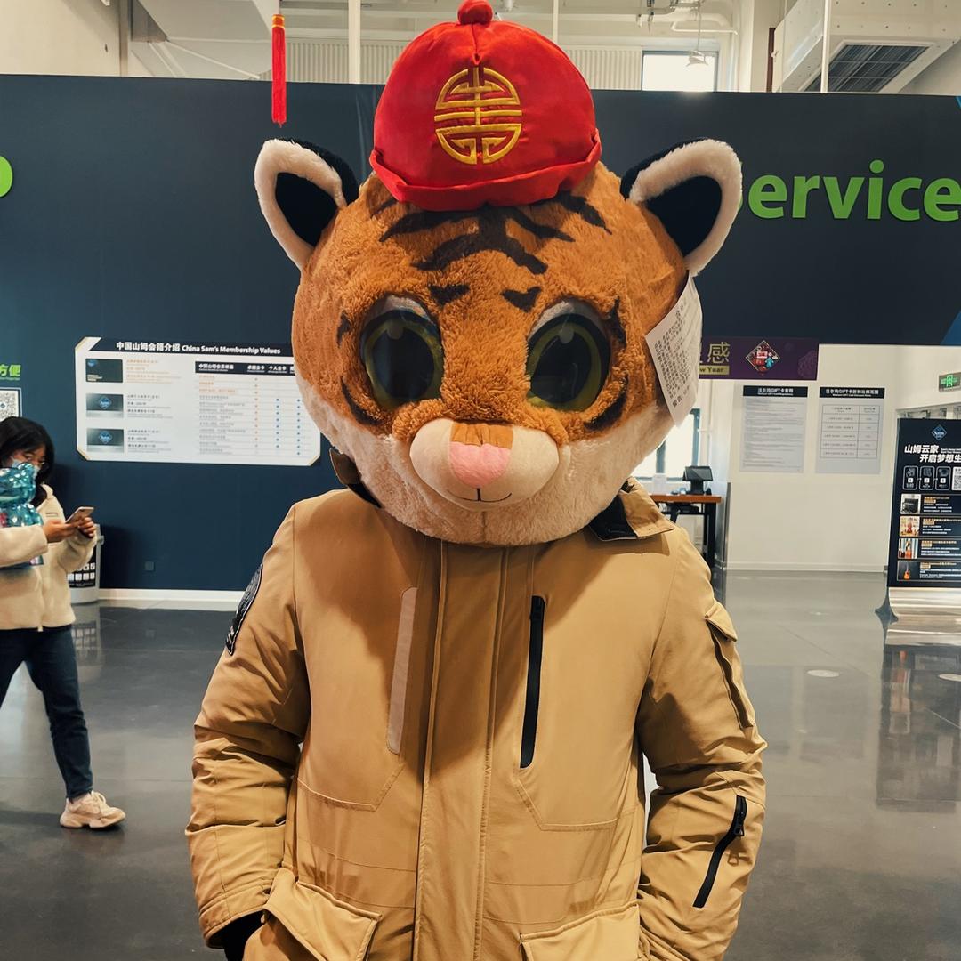 无敌小香猪