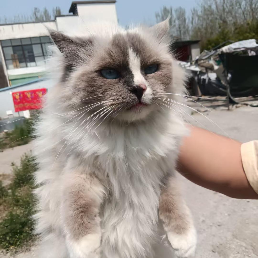 富威中古