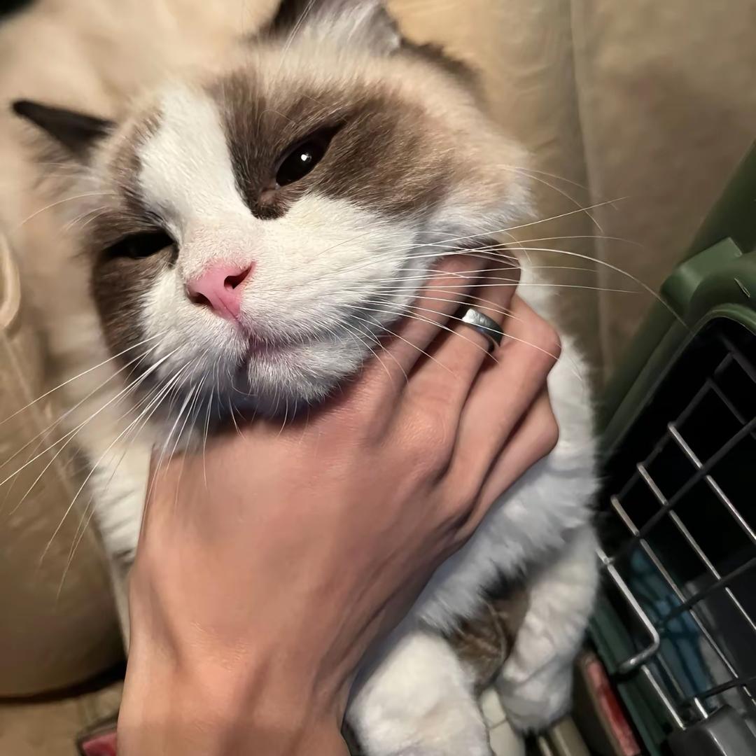 阿海（南宁最良心局头）