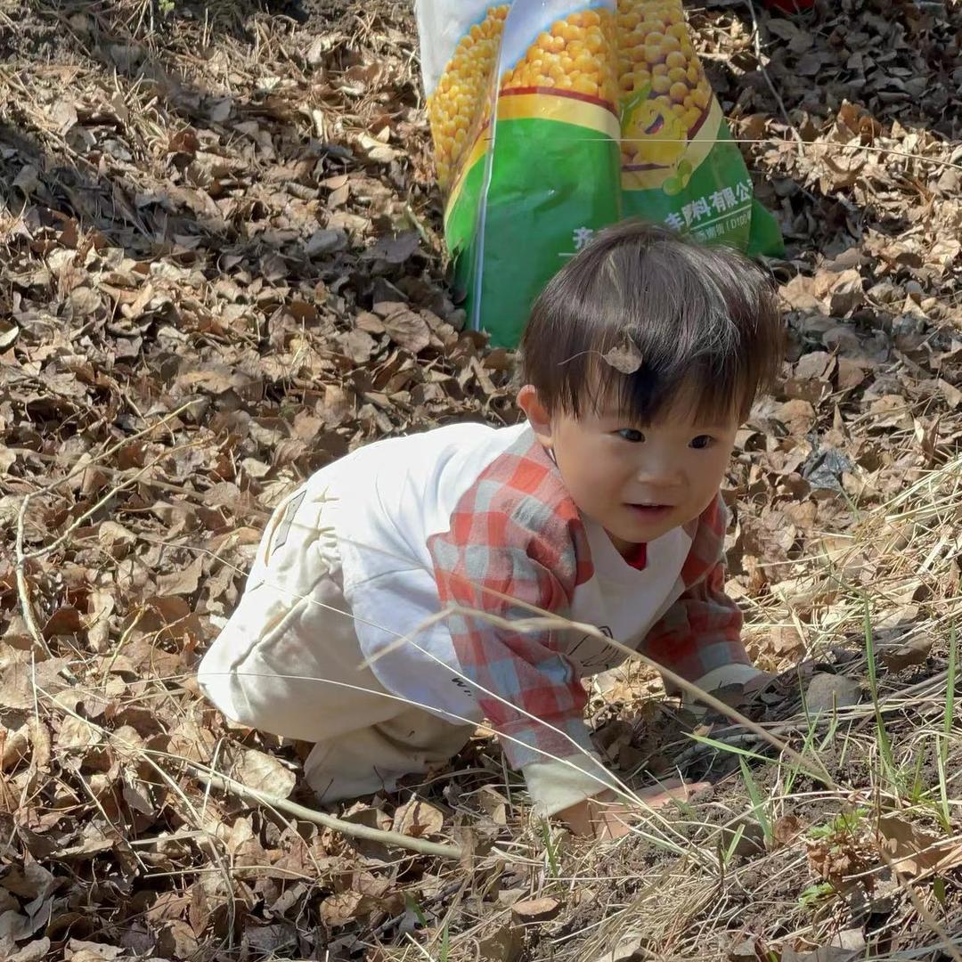 打工崽（养猪流）