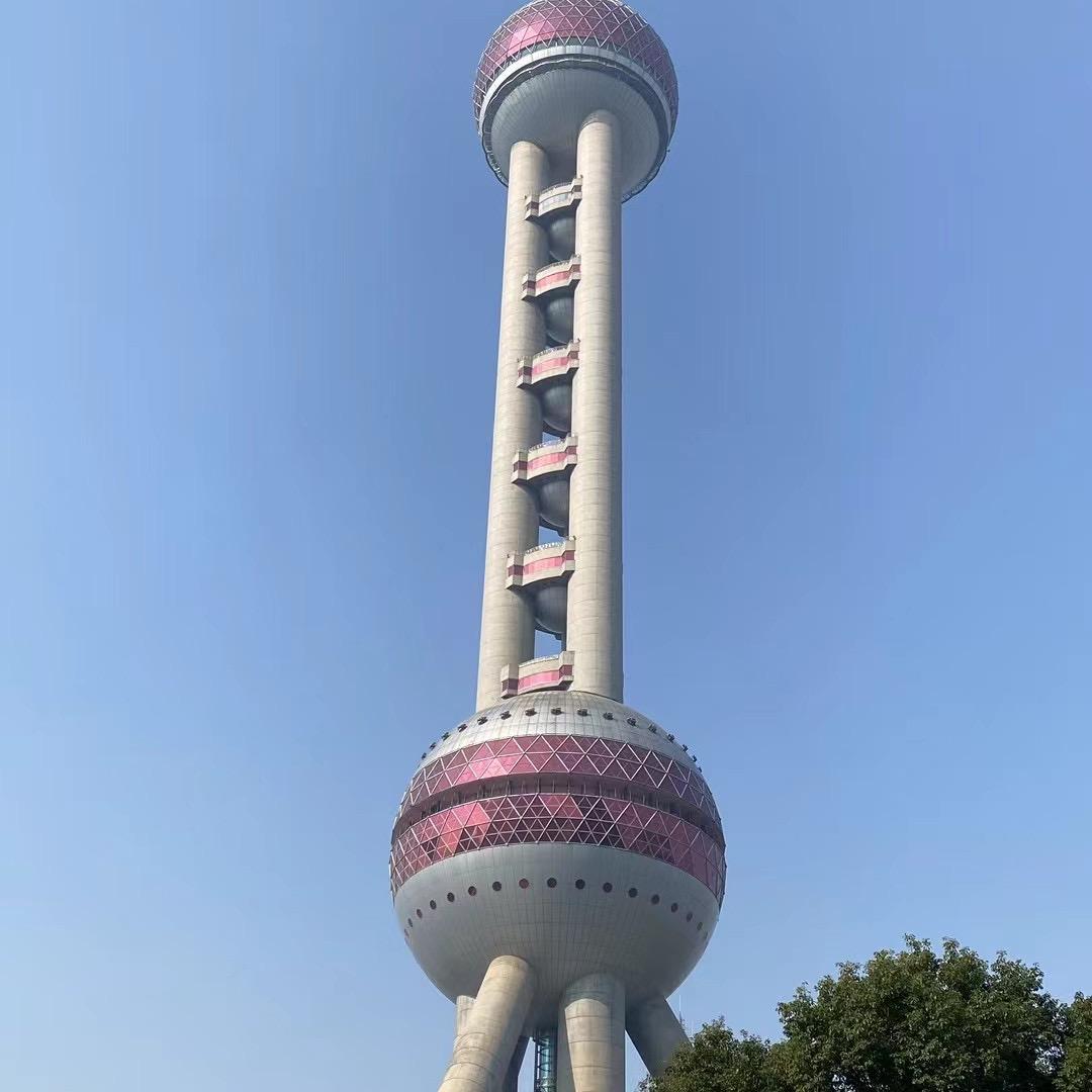 @扬