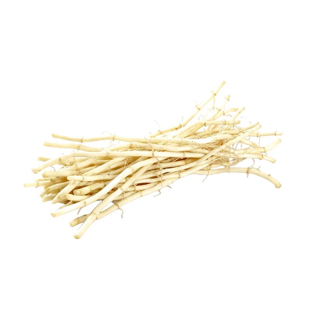 邪恶折耳根