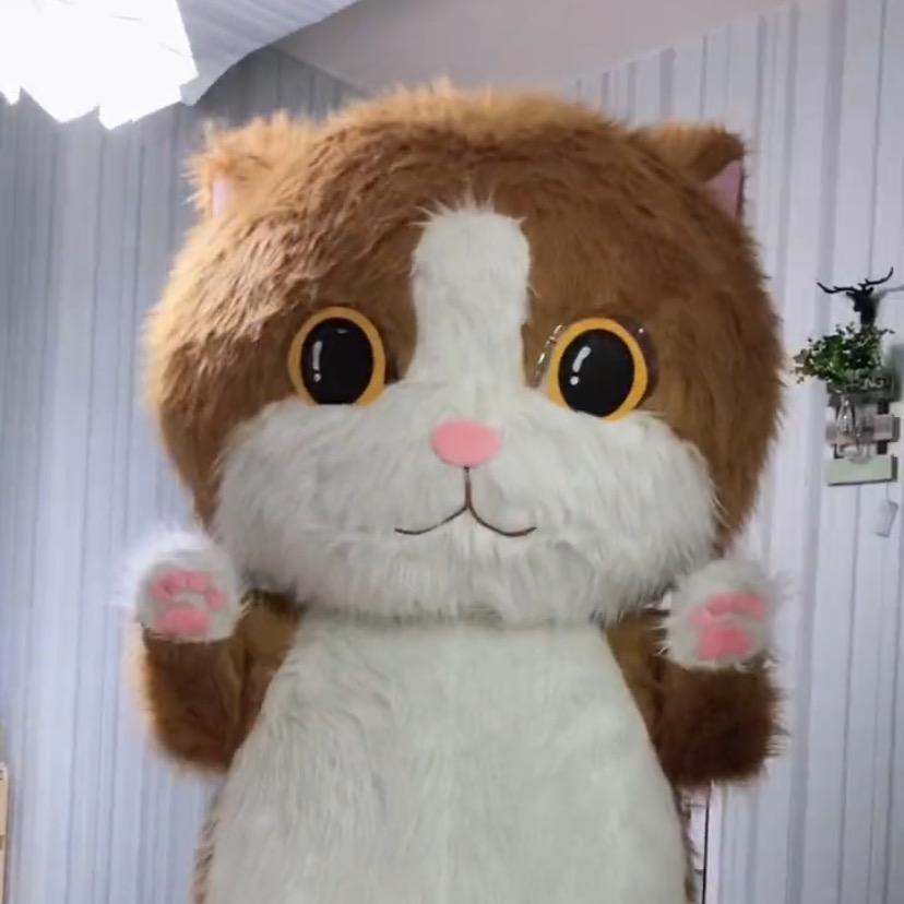 大猫猫🐱