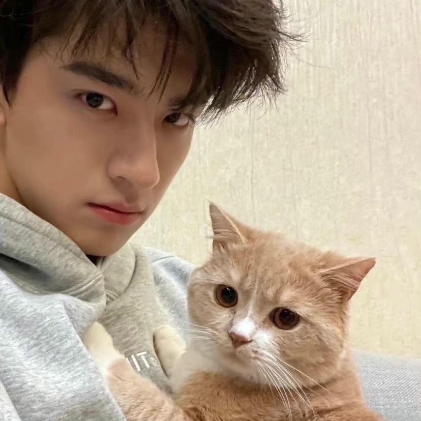 胡萝卜须抓住鼹鼠