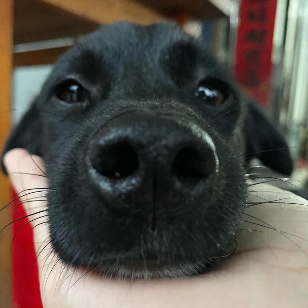 是小生财呀（润河周家老窖馒头）