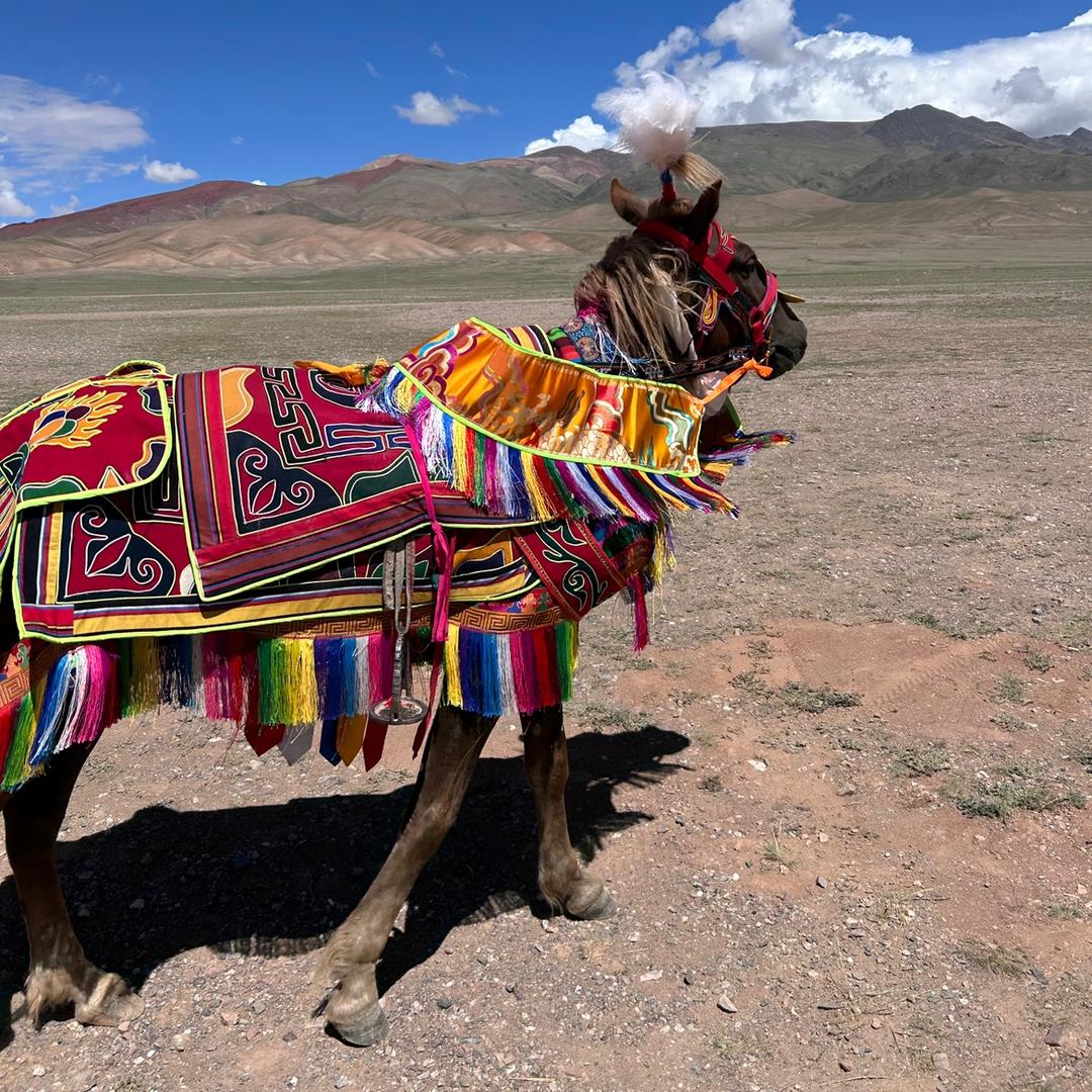 ༺ཌༀ俗人ༀད༻