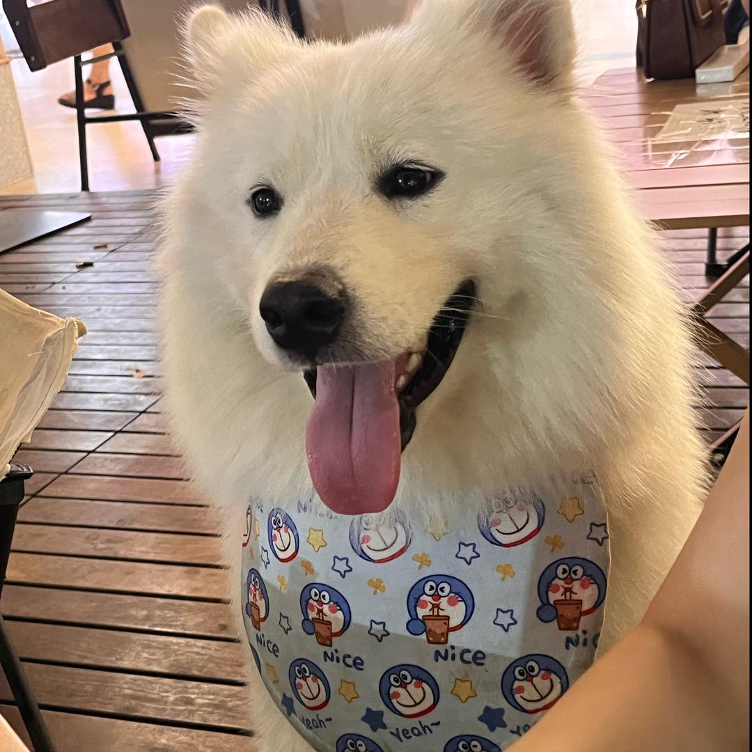 十五