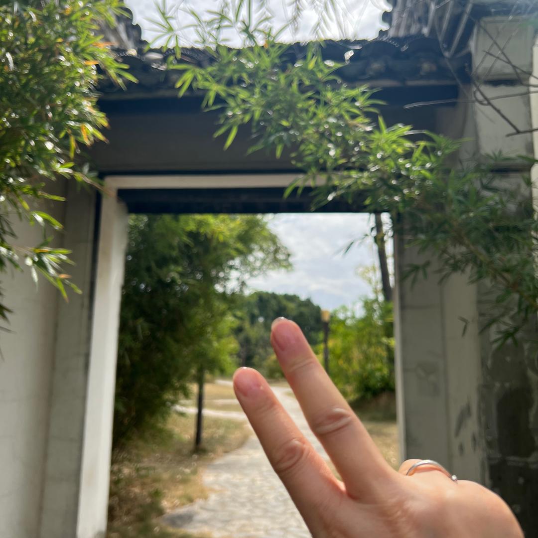 紫风玲