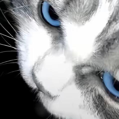 睡觉的时候不困