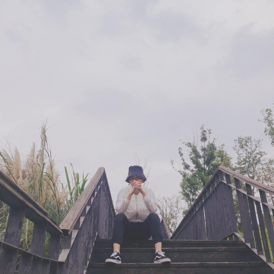 白杨木影子被拉长