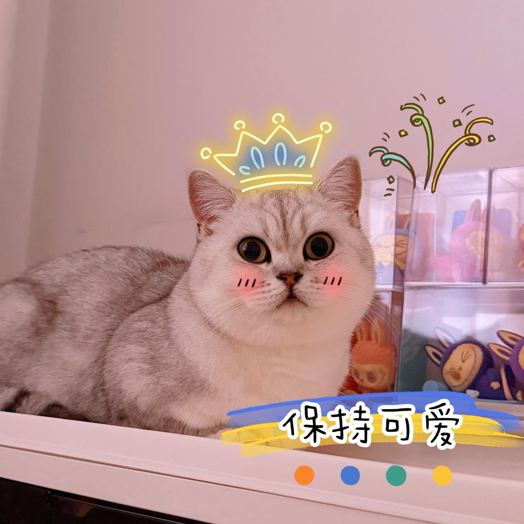 馒头有点“懵”