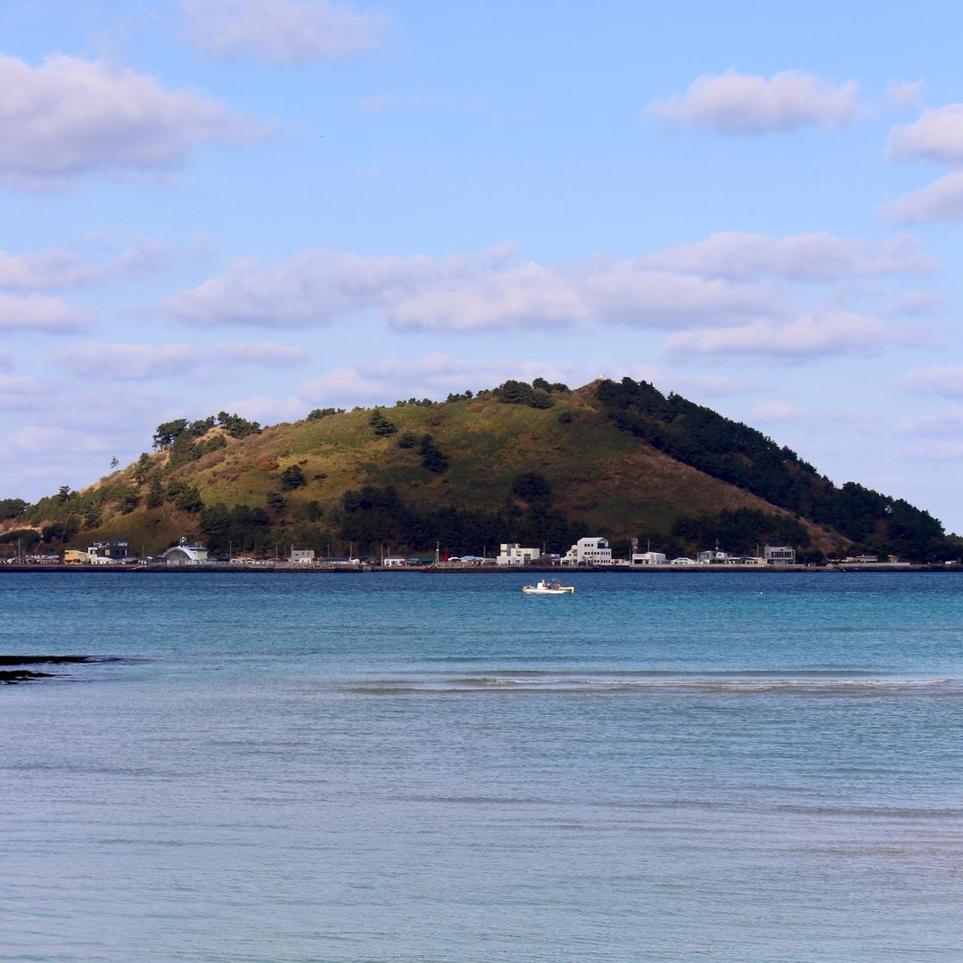 吃肯德基不看星期几