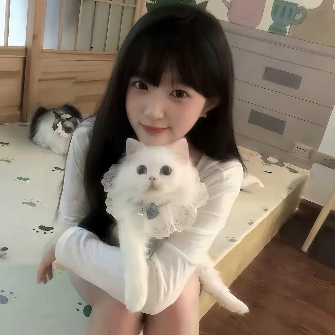 @ ㅤㅤㅤㅤㅤㅤㅤㅤ