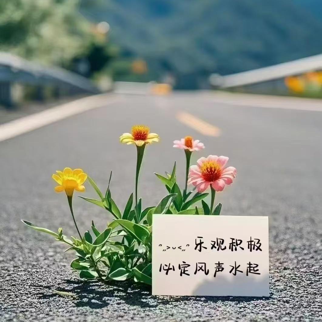 虾米
