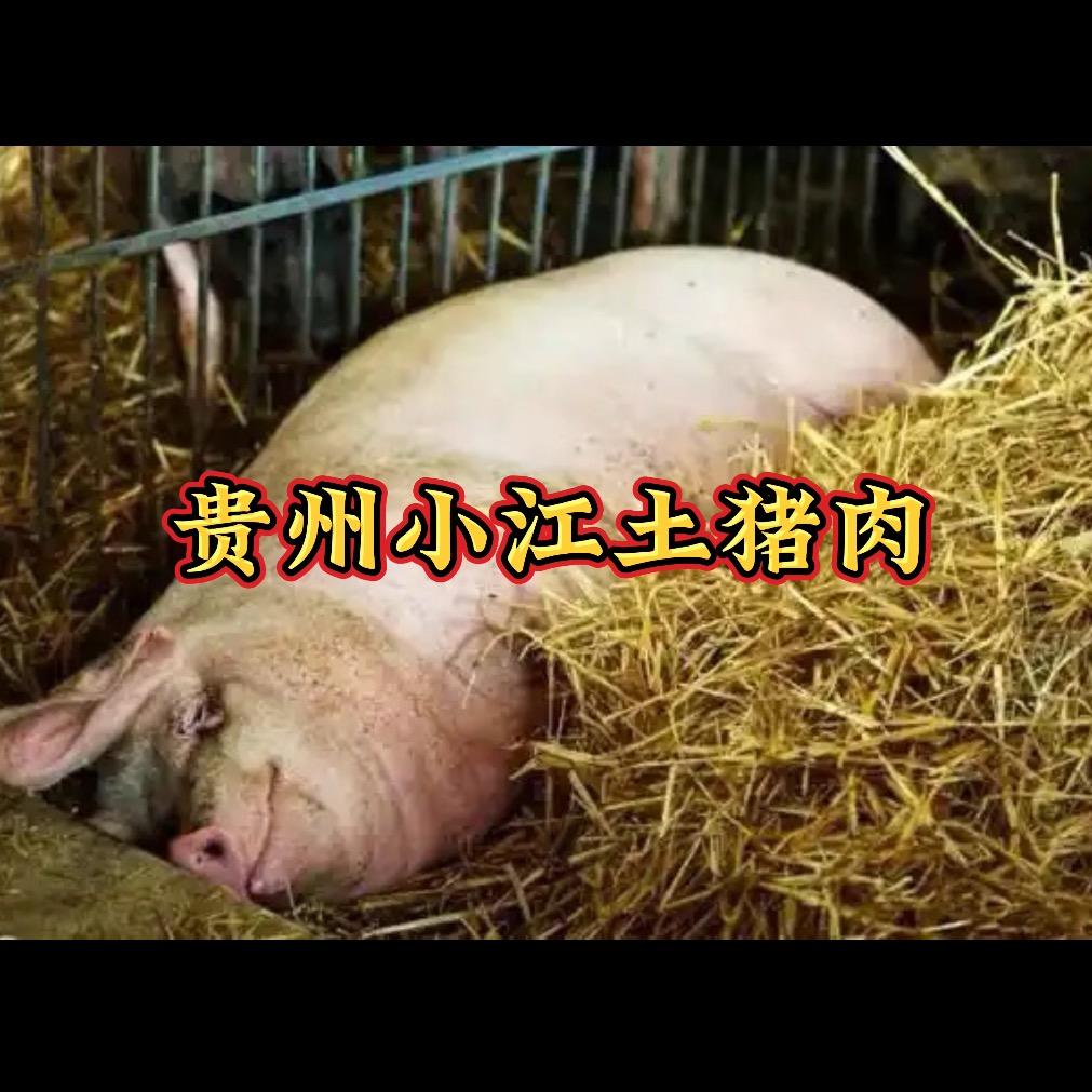 小江贵州农村土猪肉