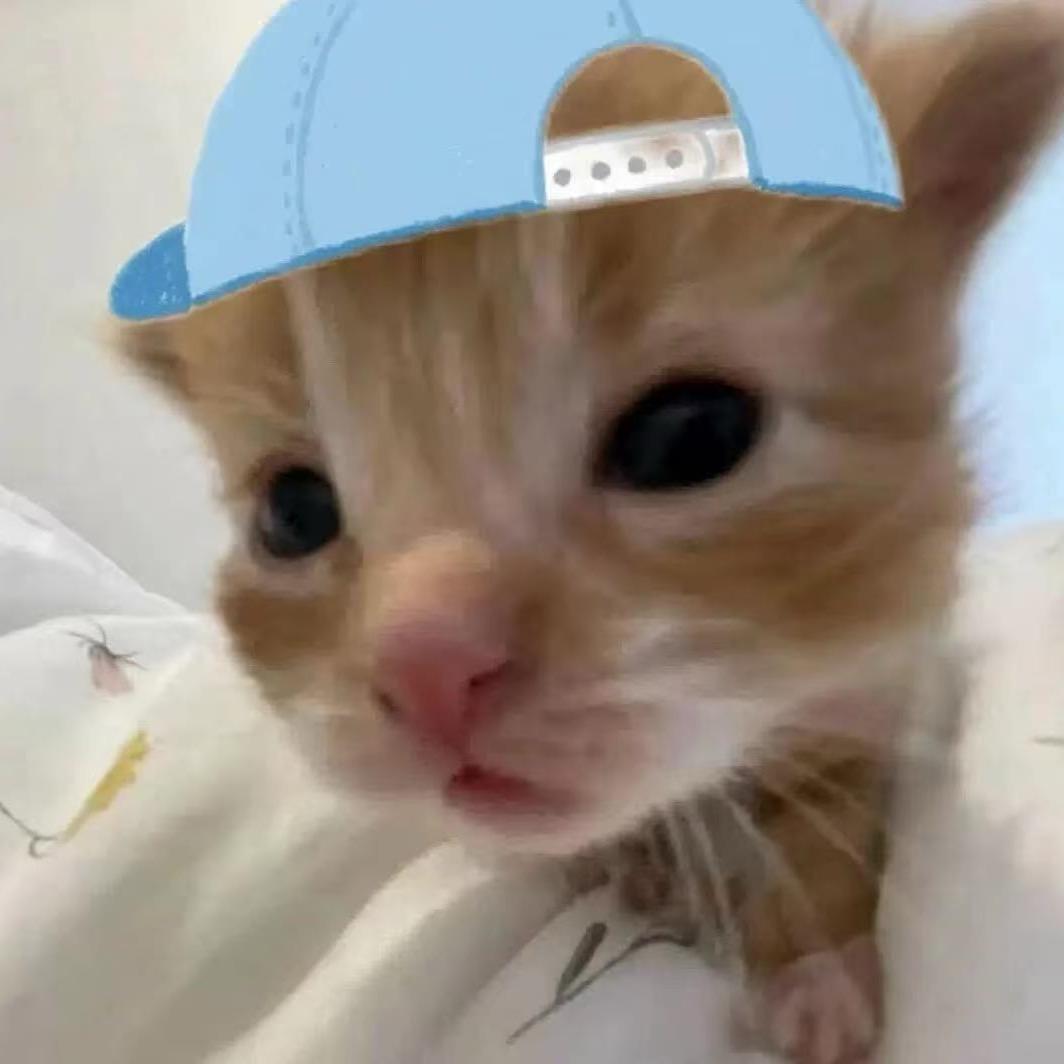 🐟