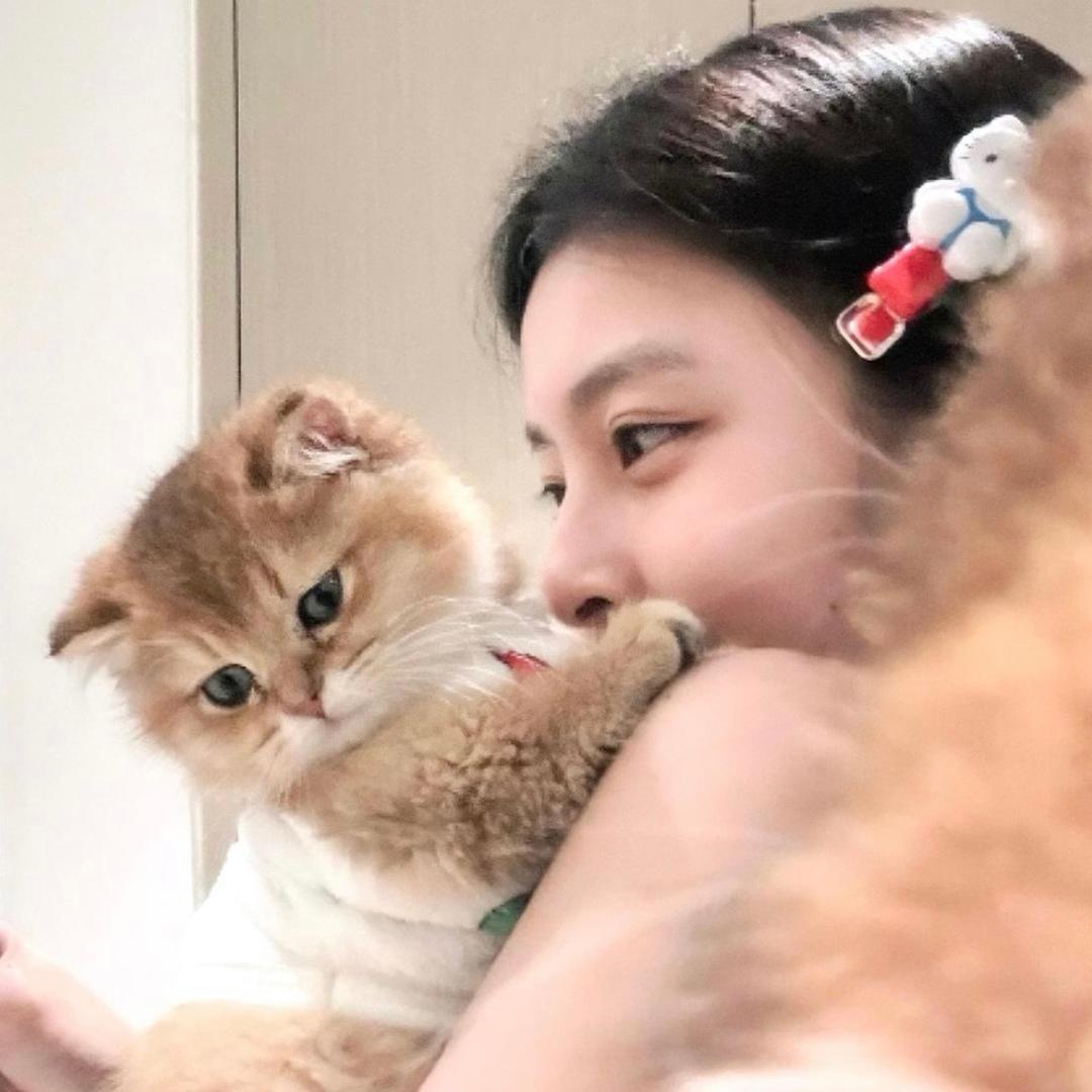 多功能一体不粘锅