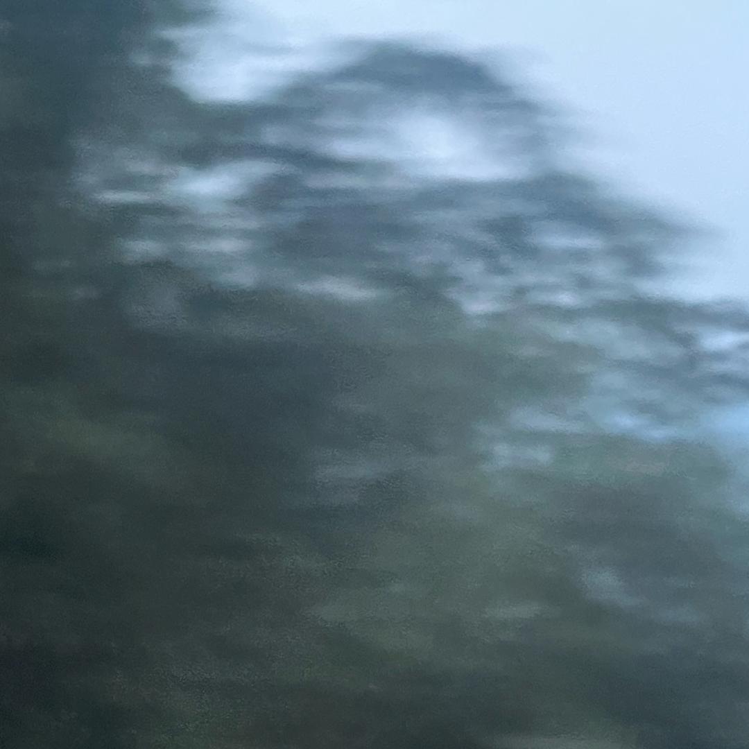 某某某