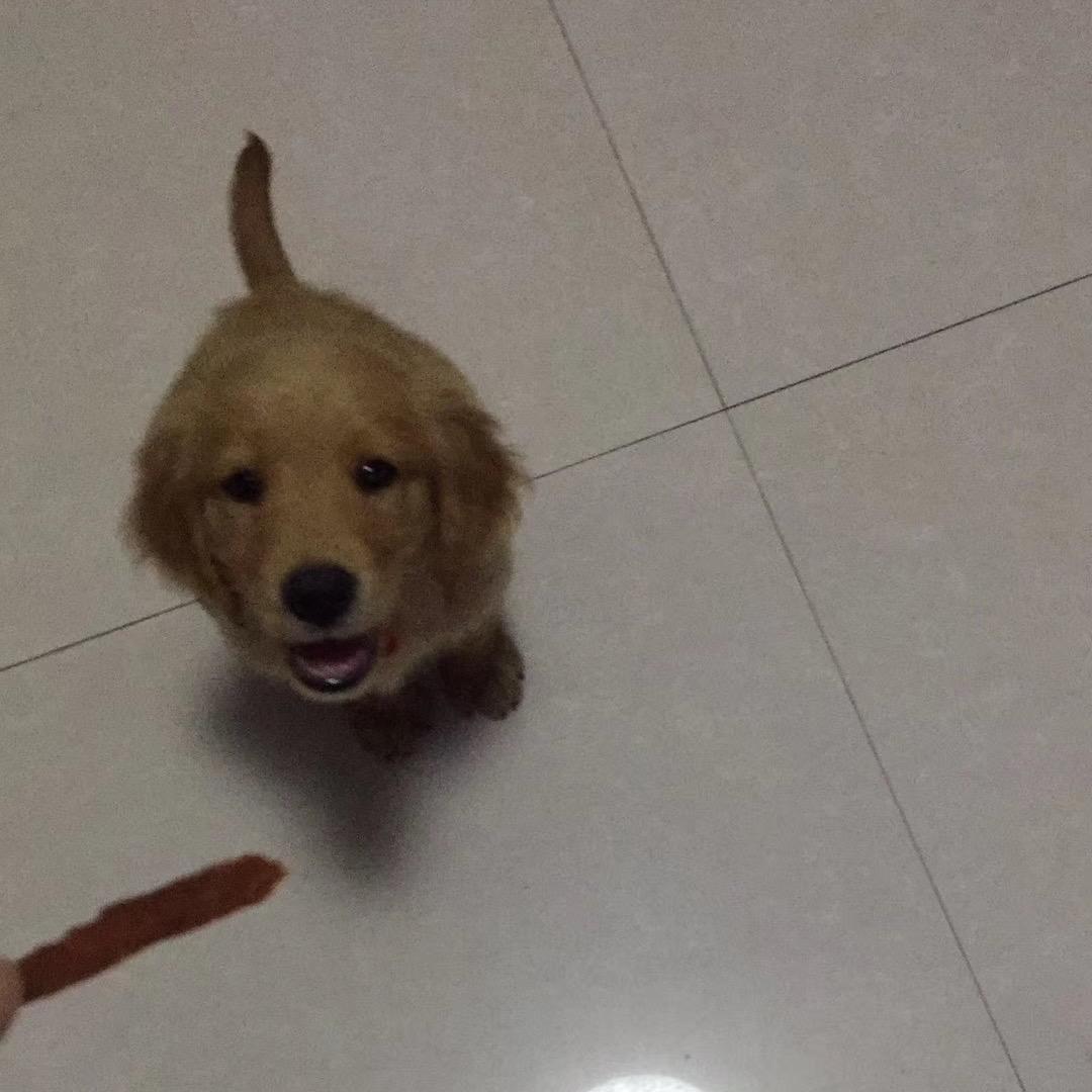 不许秀