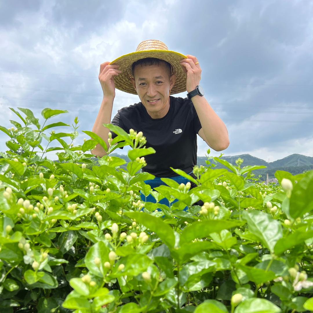 朋来茶业（大朋哥茶叶）